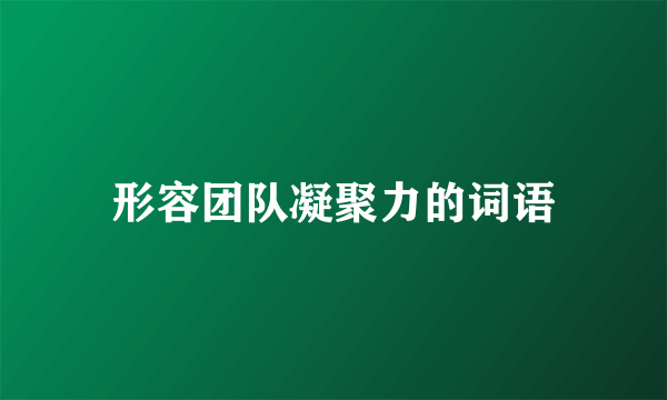 形容团队凝聚力的词语