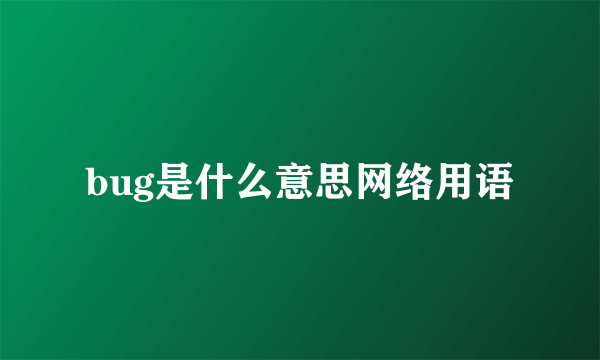 bug是什么意思网络用语
