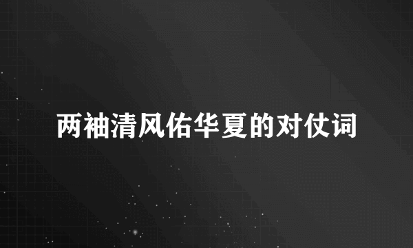 两袖清风佑华夏的对仗词