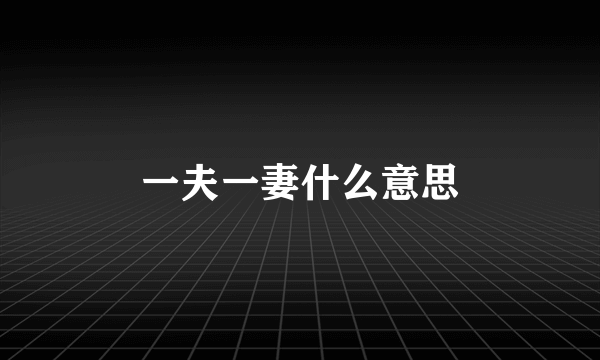 一夫一妻什么意思