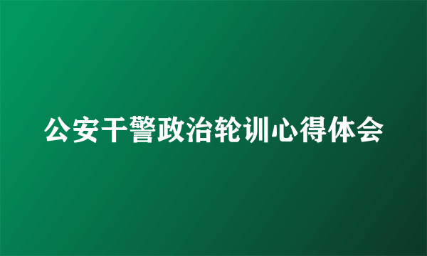 公安干警政治轮训心得体会
