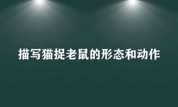 描写猫捉老鼠的形态和动作