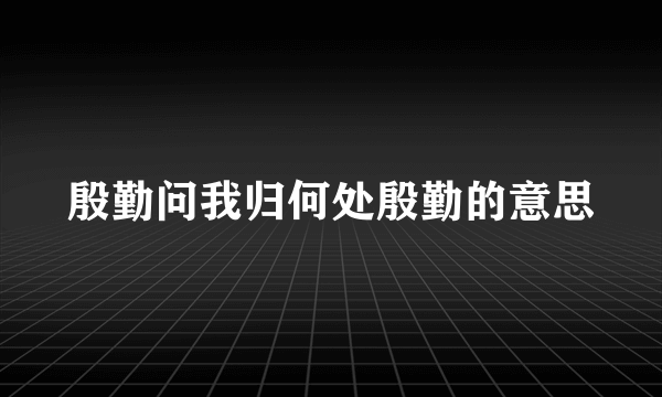 殷勤问我归何处殷勤的意思