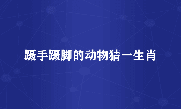 蹑手蹑脚的动物猜一生肖