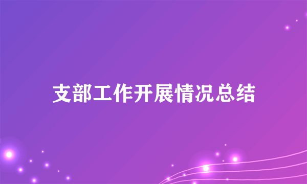 支部工作开展情况总结
