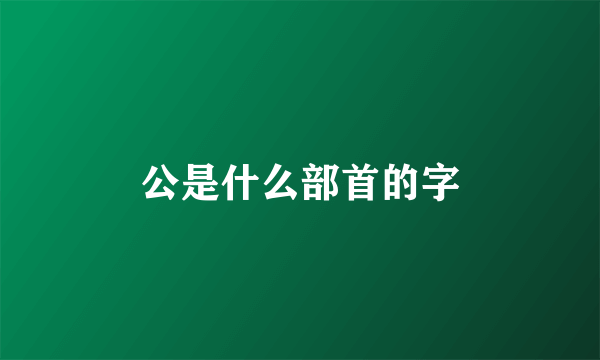 公是什么部首的字