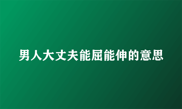 男人大丈夫能屈能伸的意思