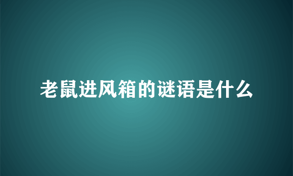 老鼠进风箱的谜语是什么