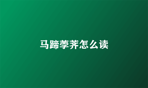马蹄荸荠怎么读