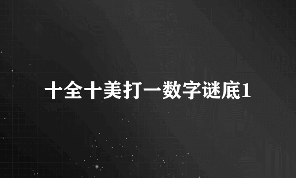 十全十美打一数字谜底1