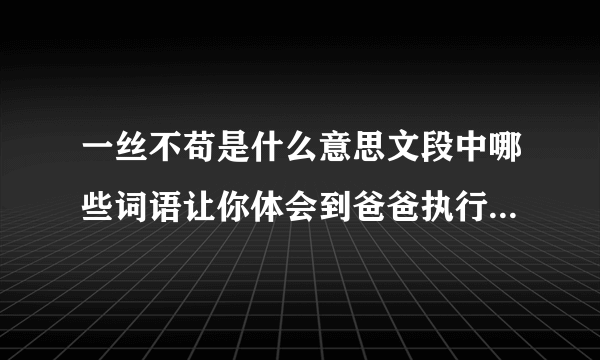 一丝不苟是什么意思文段中哪些词语让你体会到爸爸执行计划时一丝不苟