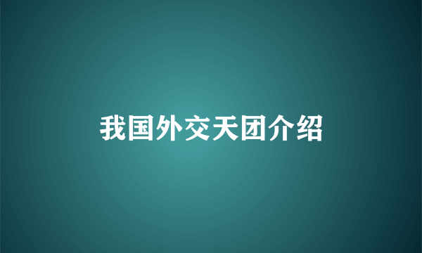 我国外交天团介绍
