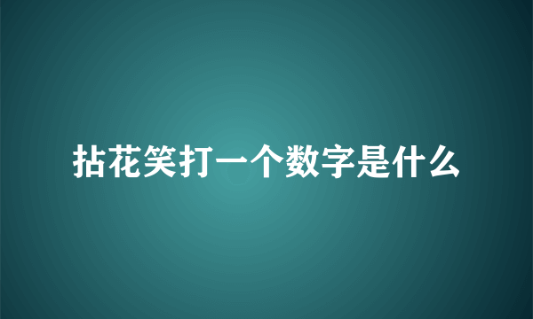 拈花笑打一个数字是什么