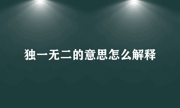独一无二的意思怎么解释