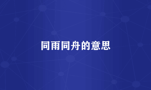 同雨同舟的意思