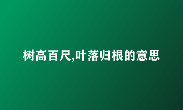 树高百尺,叶落归根的意思