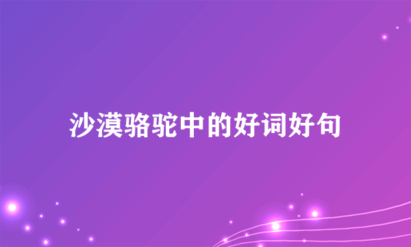 沙漠骆驼中的好词好句
