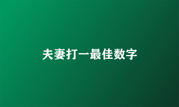 夫妻打一最佳数字