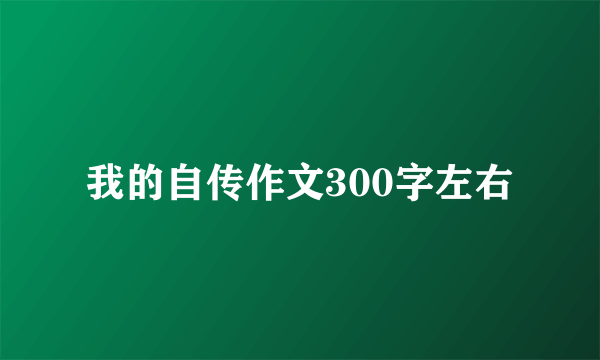 我的自传作文300字左右