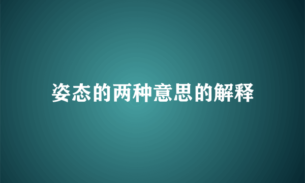 姿态的两种意思的解释
