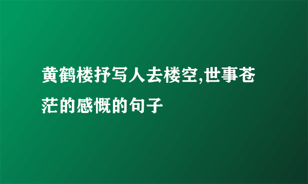 黄鹤楼抒写人去楼空,世事苍茫的感慨的句子