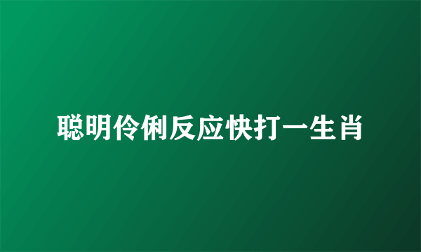 聪明伶俐反应快打一生肖