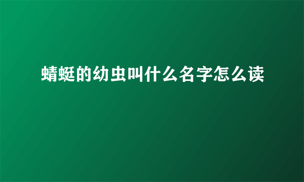 蜻蜓的幼虫叫什么名字怎么读