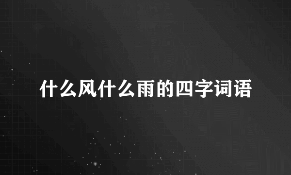 什么风什么雨的四字词语