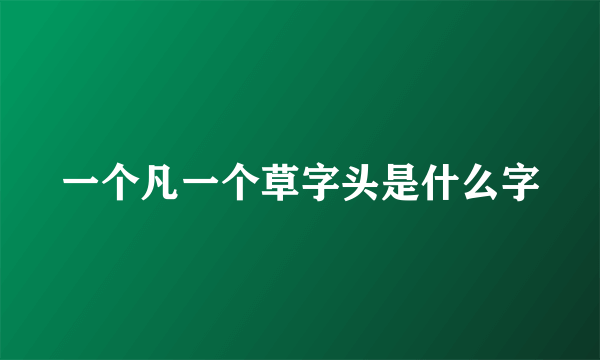 一个凡一个草字头是什么字