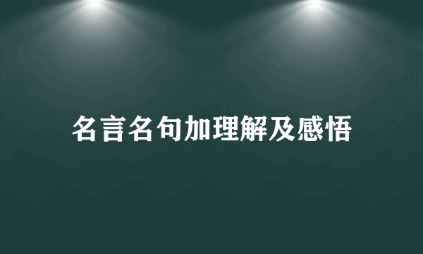 名言名句加理解及感悟