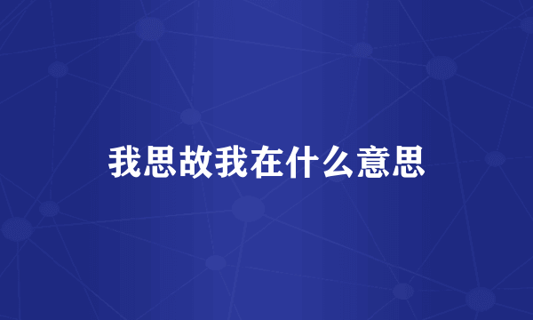 我思故我在什么意思