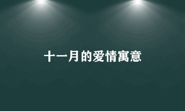 十一月的爱情寓意