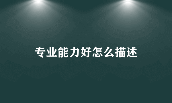 专业能力好怎么描述