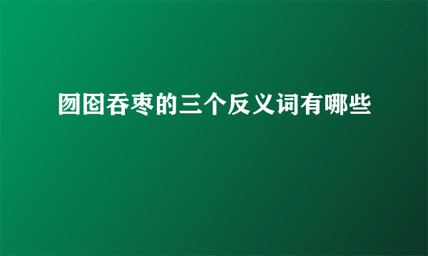 囫囵吞枣的三个反义词有哪些