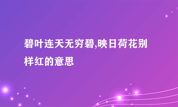碧叶连天无穷碧,映日荷花别样红的意思