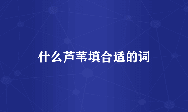 什么芦苇填合适的词