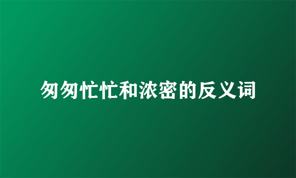 匆匆忙忙和浓密的反义词
