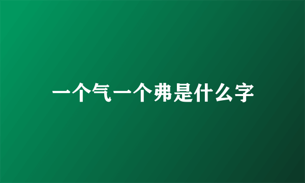 一个气一个弗是什么字