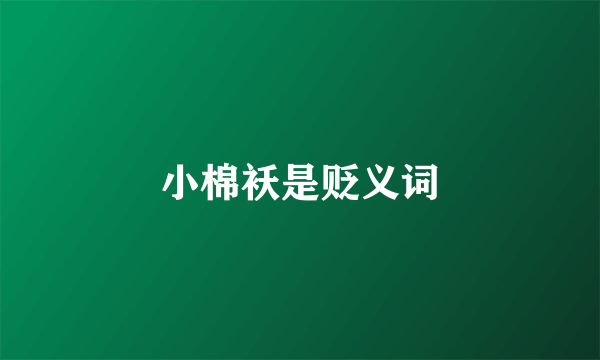 小棉袄是贬义词