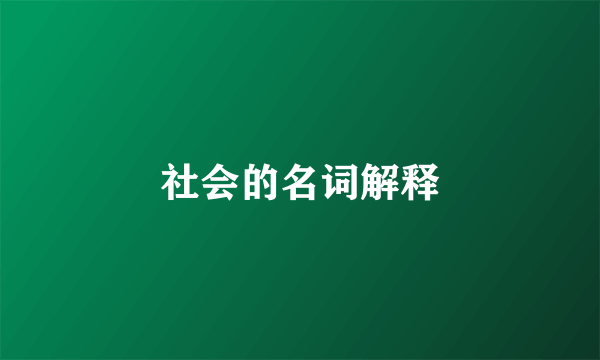 社会的名词解释