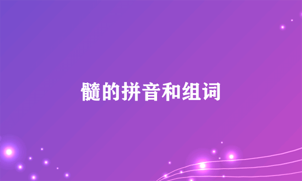 髓的拼音和组词