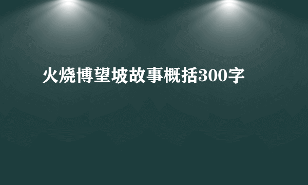 火烧博望坡故事概括300字