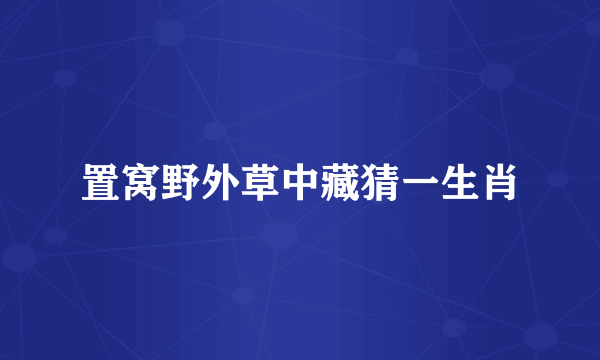 置窝野外草中藏猜一生肖