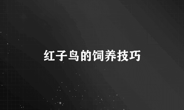 红子鸟的饲养技巧