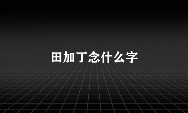 田加丁念什么字