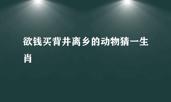 欲钱买背井离乡的动物猜一生肖