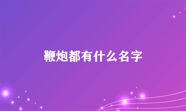 鞭炮都有什么名字