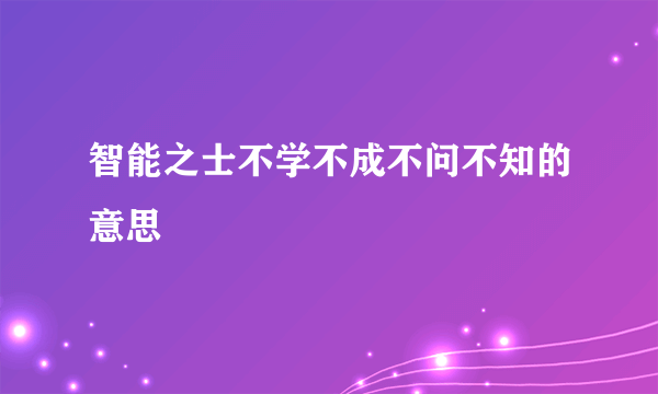 智能之士不学不成不问不知的意思