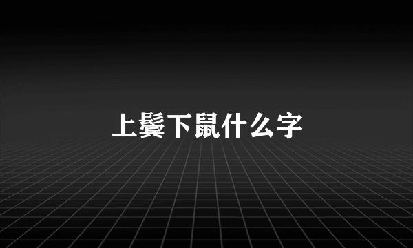上鬓下鼠什么字