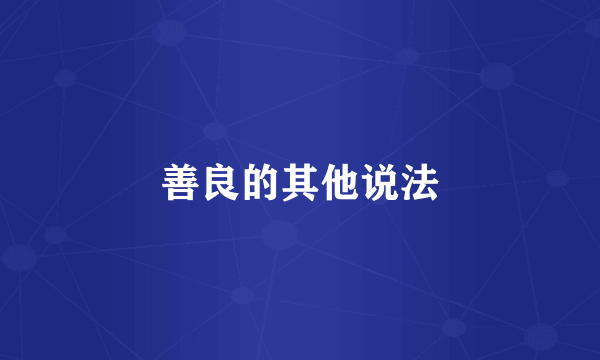 善良的其他说法
